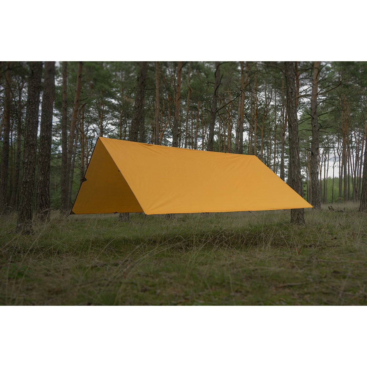 Płachta biwakowa TigerWood Termo Tarp 3 x 4 m - Hunter