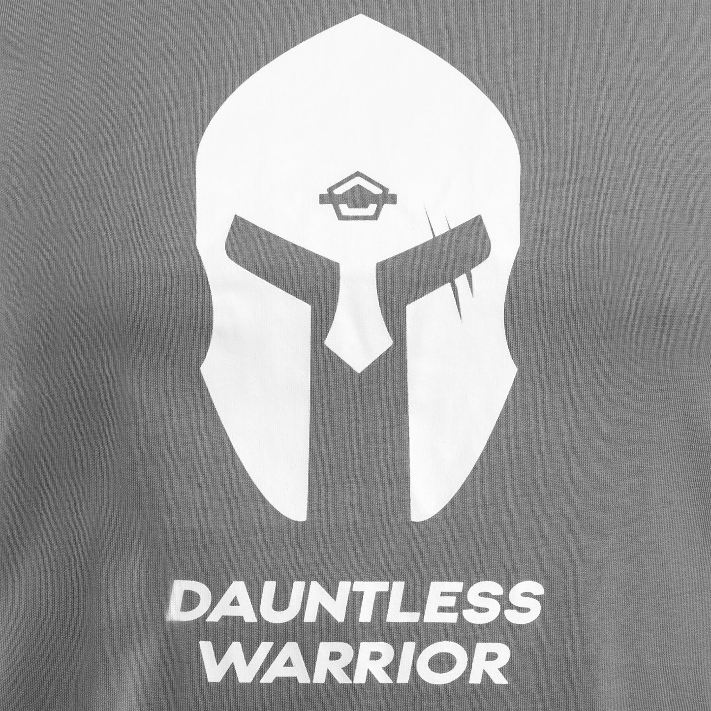 Koszulka T-shirt Pentagon "Spartan" - Wolf Grey