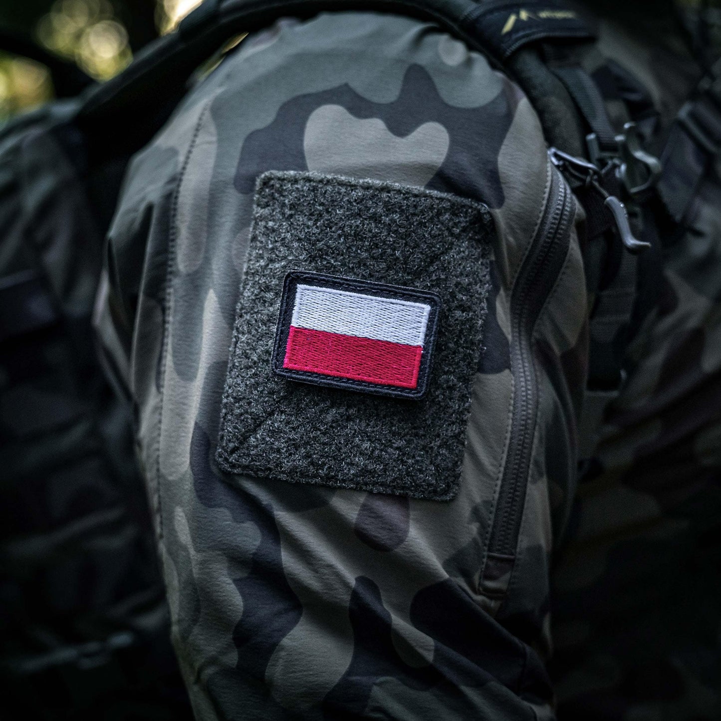 Emblemat Haasta flaga Polski