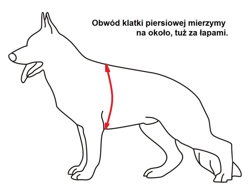 Szelki dla psa K9 thorn Alpha Olive - duży pies