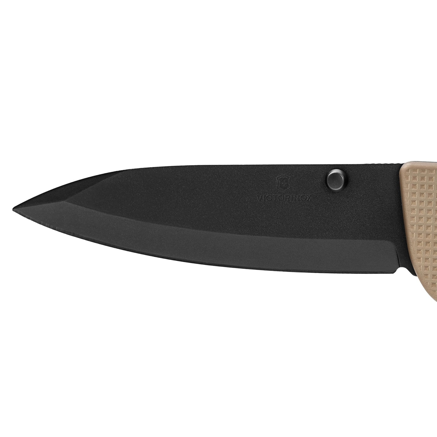 Nóż składany Victorinox Evoke BS Alox - Beige