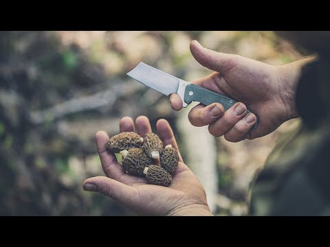 Nóż składany Gerber Asada Micarta