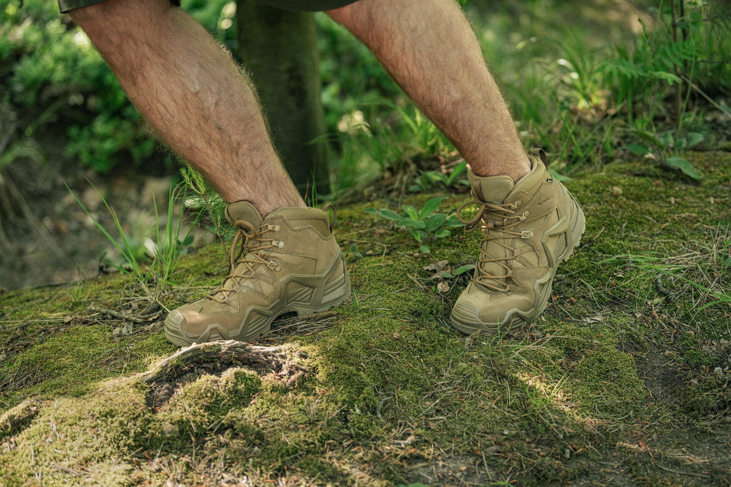 Buty Lowa Zephyr GTX MID MK2 - Coyote OP