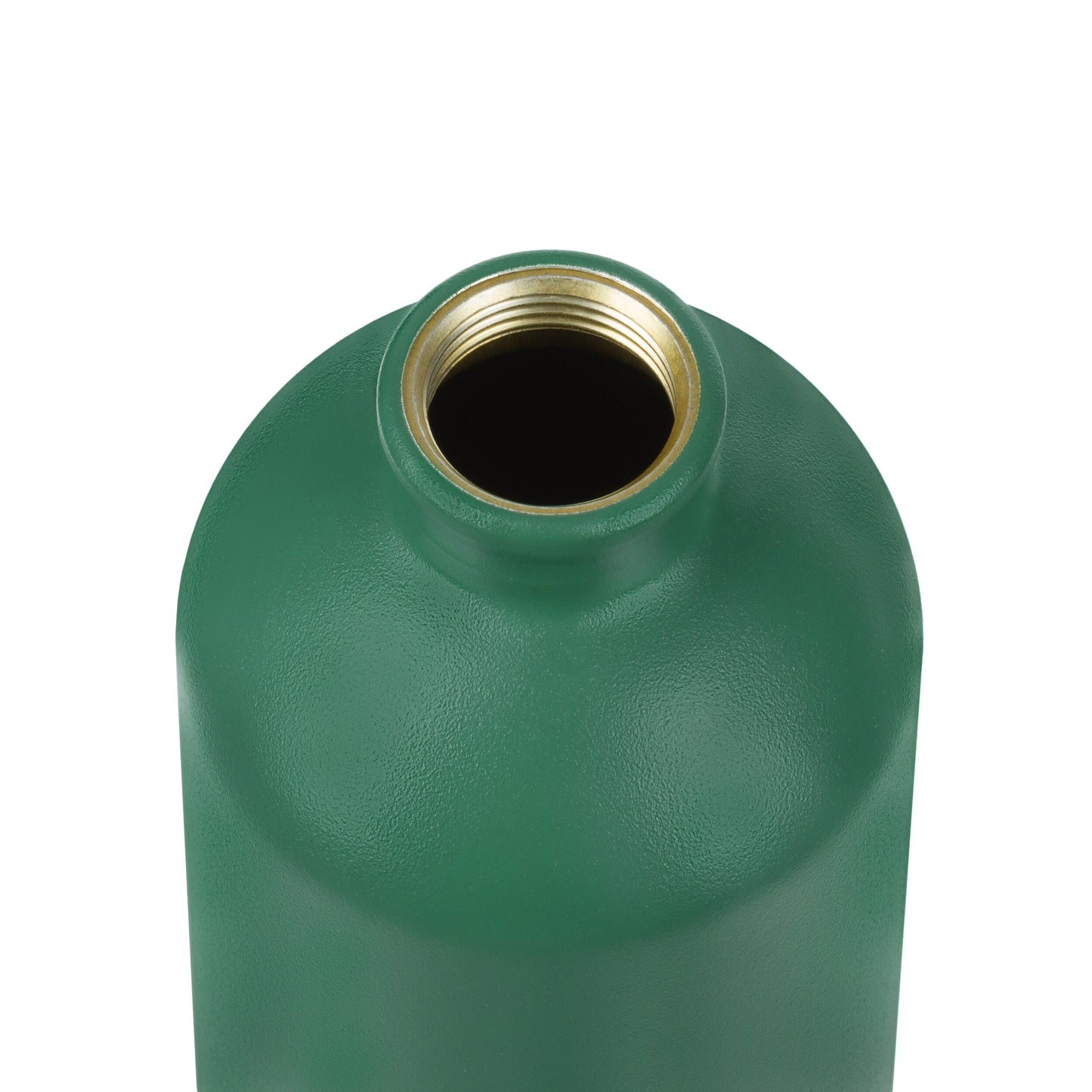 Butelka Sigg Traveller 1 l - Leaf Green