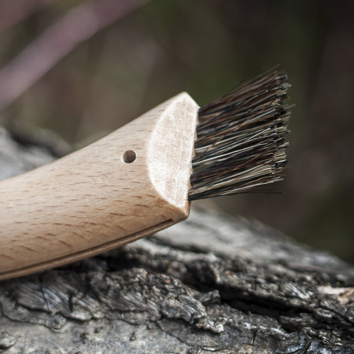 Nóż składany Opinel No.8 Mushroom do zbierania grzybów