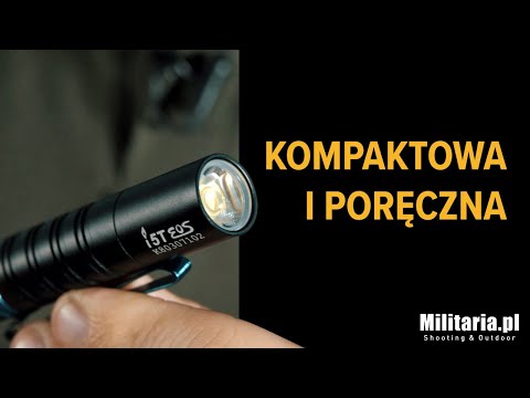 Latarka Olight I5T EOS Pumpkin Stains - 300 lumenów