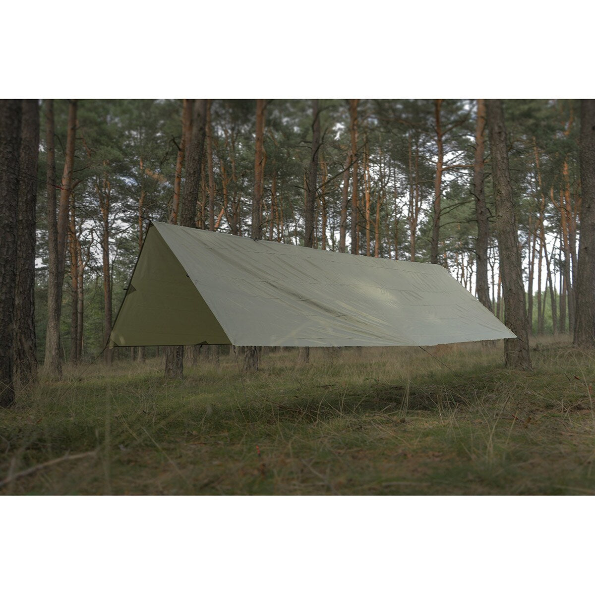 Płachta biwakowa TigerWood Termo Tarp 3 x 2 m - Olive