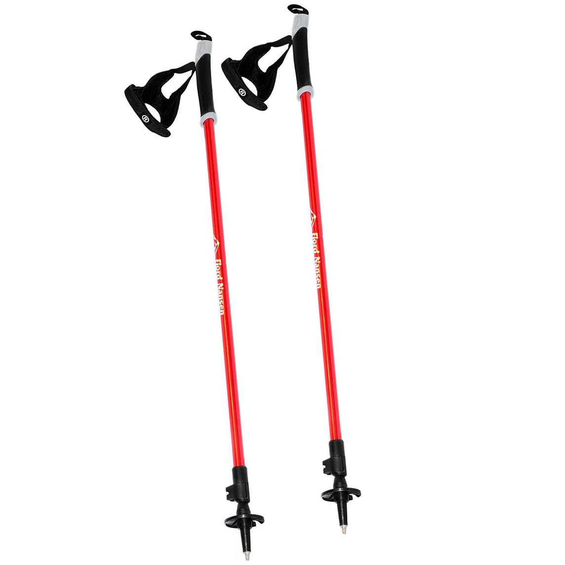 Kije Nordic Walking Fjord Nansen Nordic Pro II