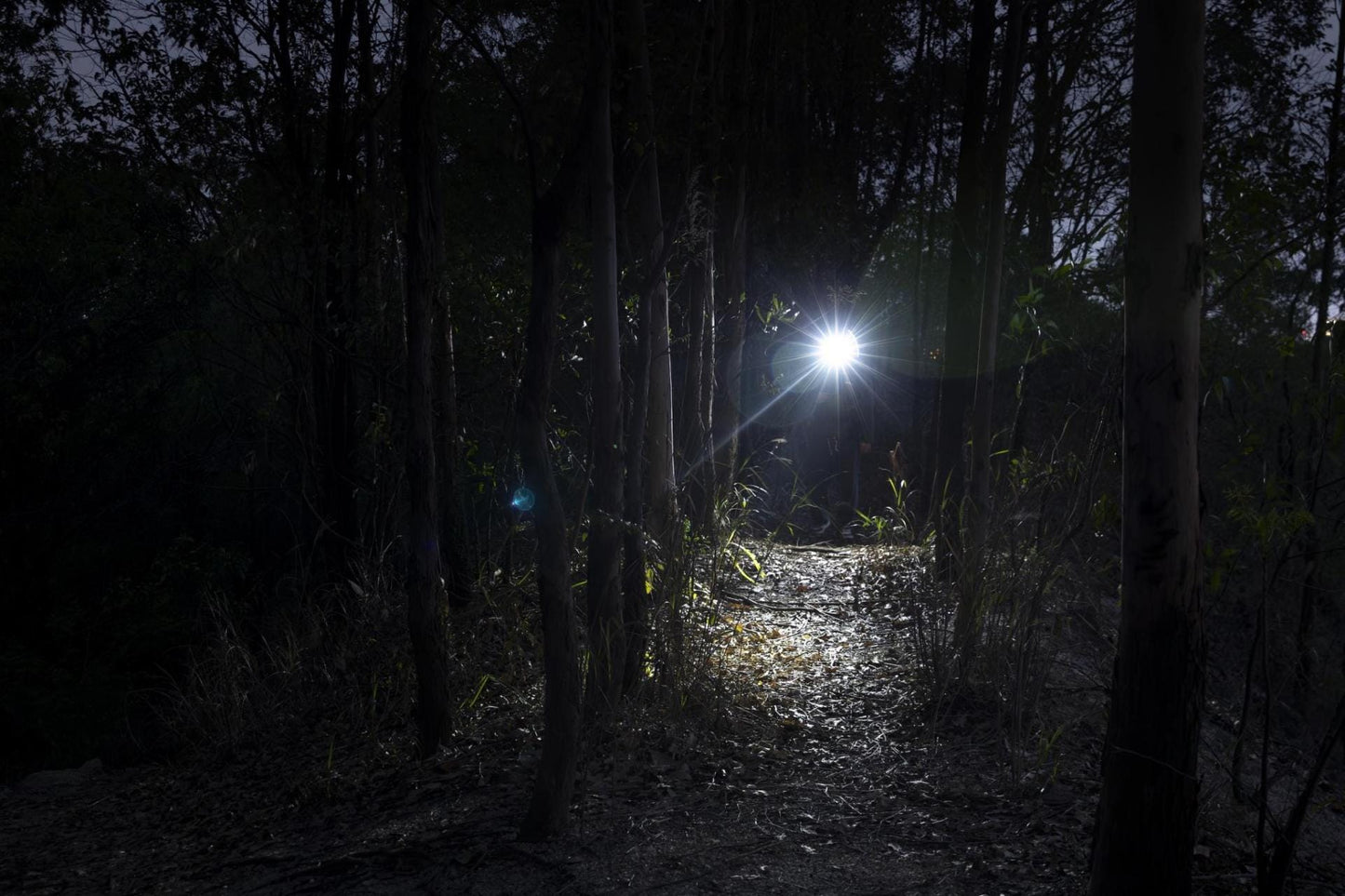 Latarka akumulatorowa Olight Oclip Pro Purple - 500 lumenów