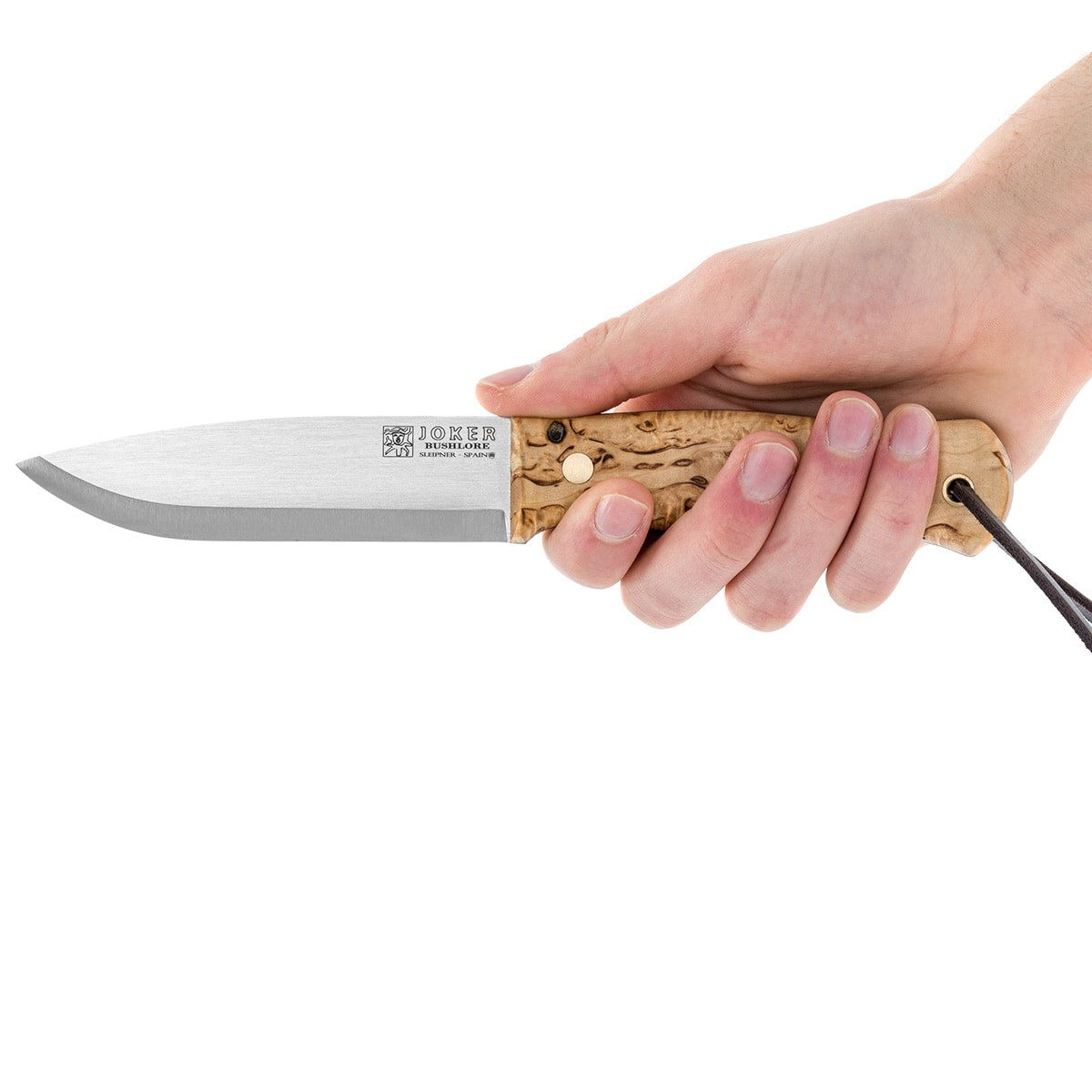 Nóż Joker Bushlore Curly Birch Scandi CL138