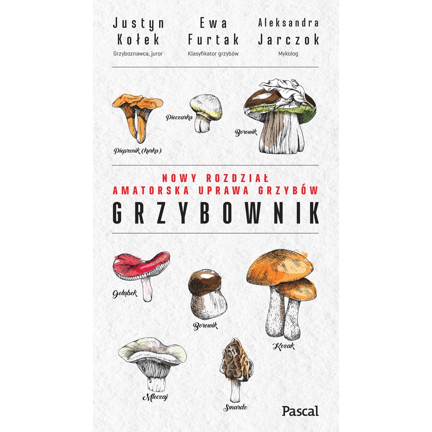 Książka "Grzybownik" Justyn Kołek, Ewa Furtak, Aleksandra Jarczok