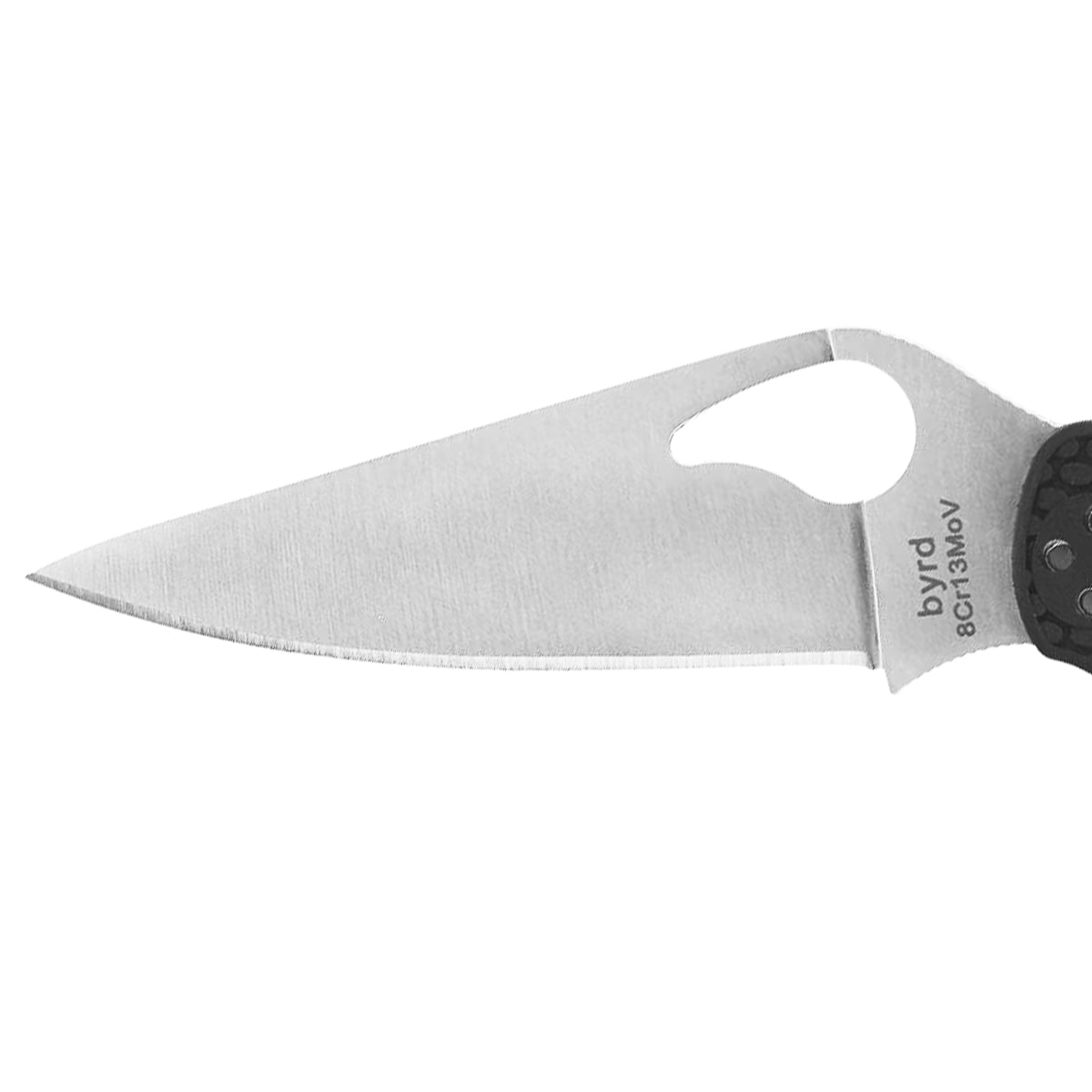Nóż składany Spyderco Byrd Harrier 2 8Cr13MoV - Black