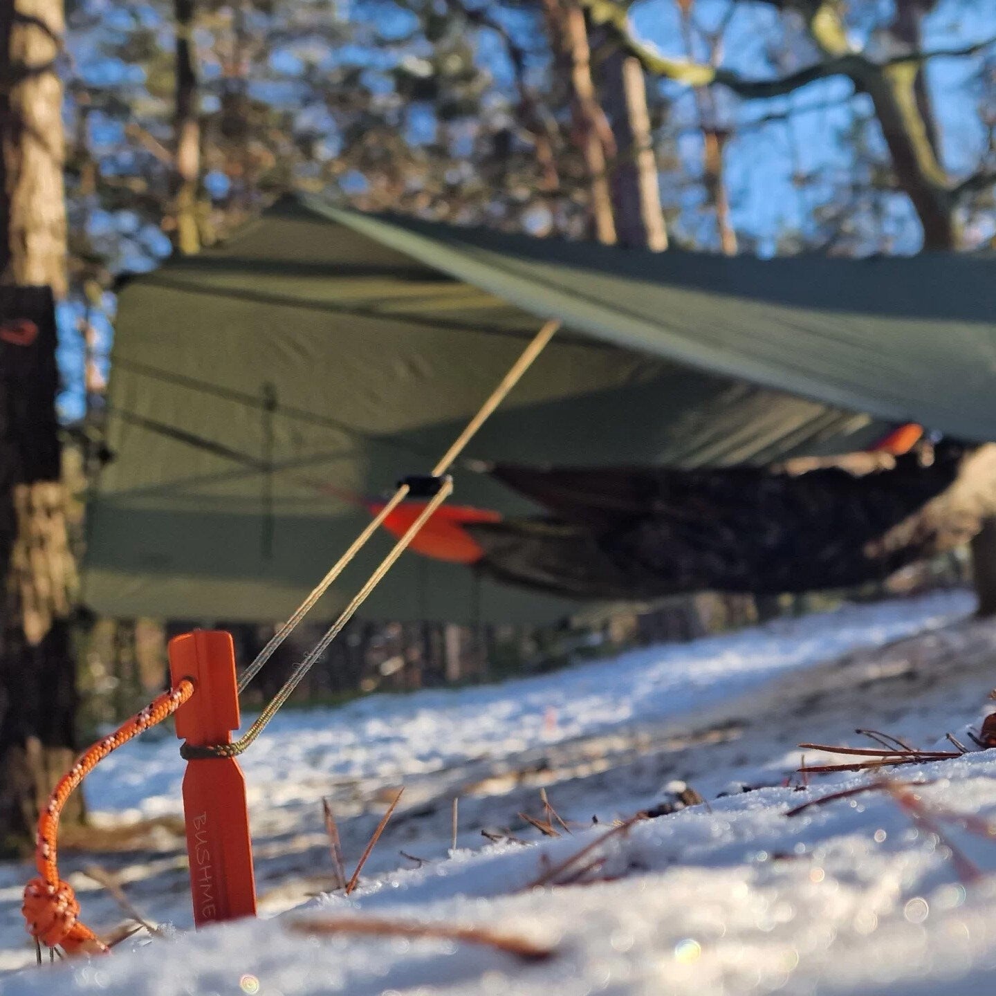 Płachta biwakowa Bushmen Easy Tarp 4 x 4 m - Green