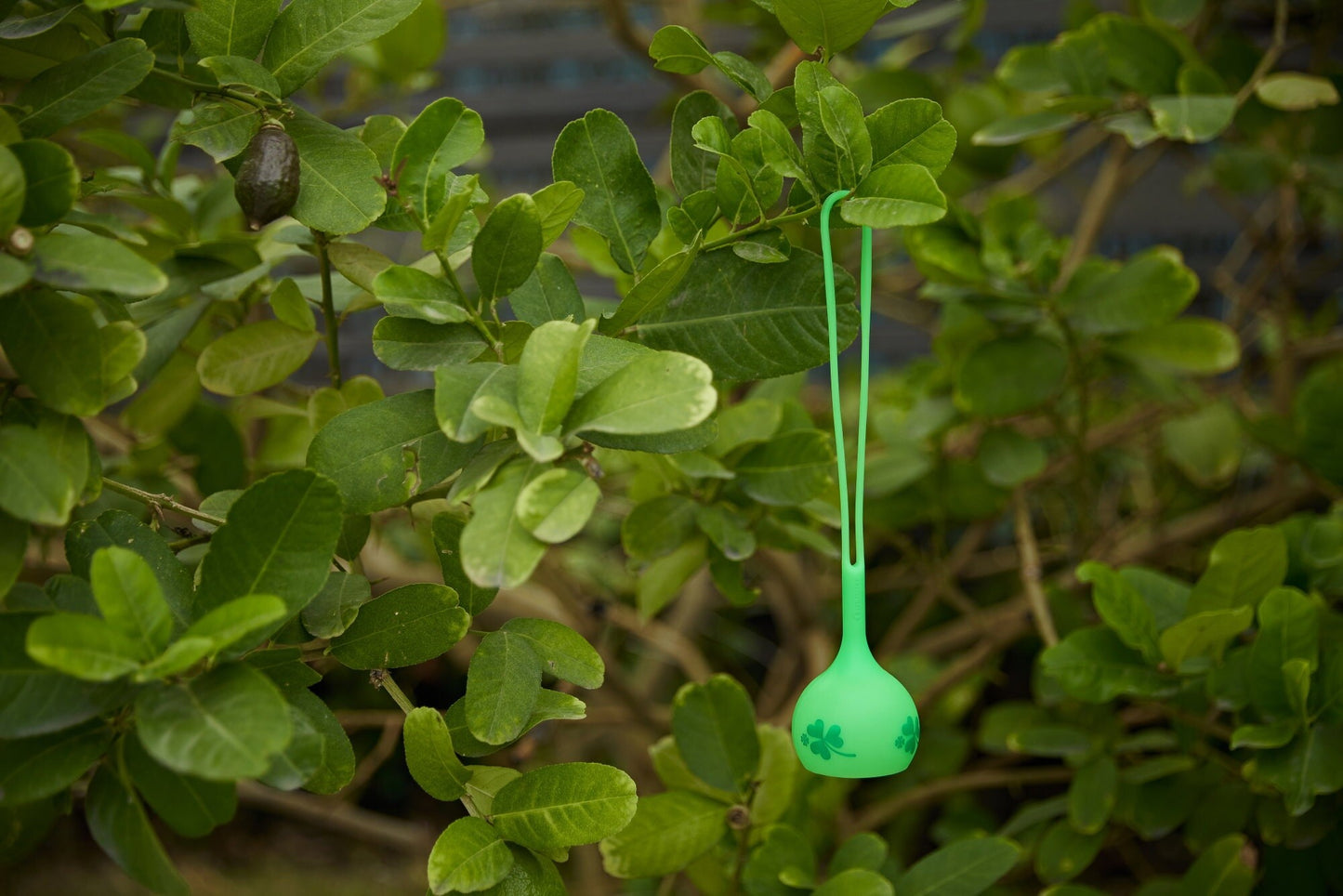 Uchwyt Osling do lamp Olight Obulb - Clover Green