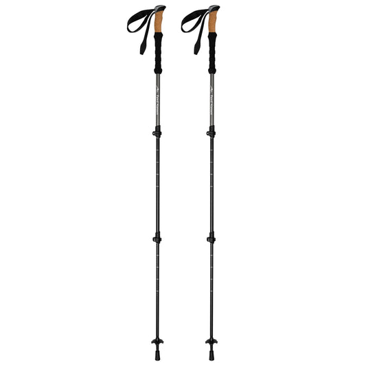 Kije trekkingowe Fjord Nansen Iron II Grip 2.0