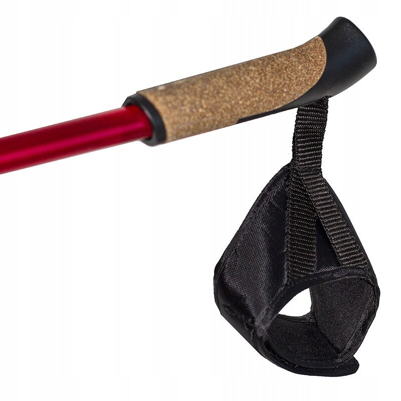 Kije trekkingowe Nils Extreme Nordic Walking NW802