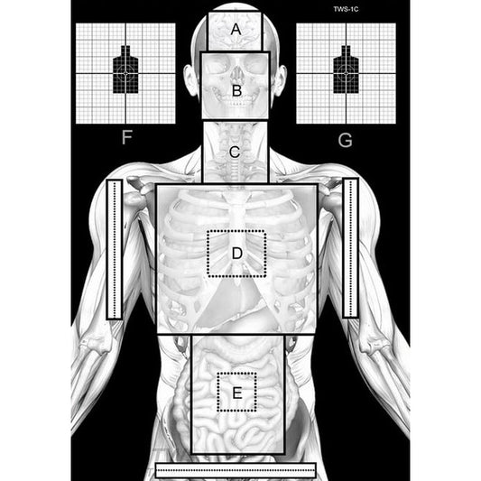 Tarcze strzeleckie Tactical Weapon System sylwetkowe TWS 1C - 10 szt.