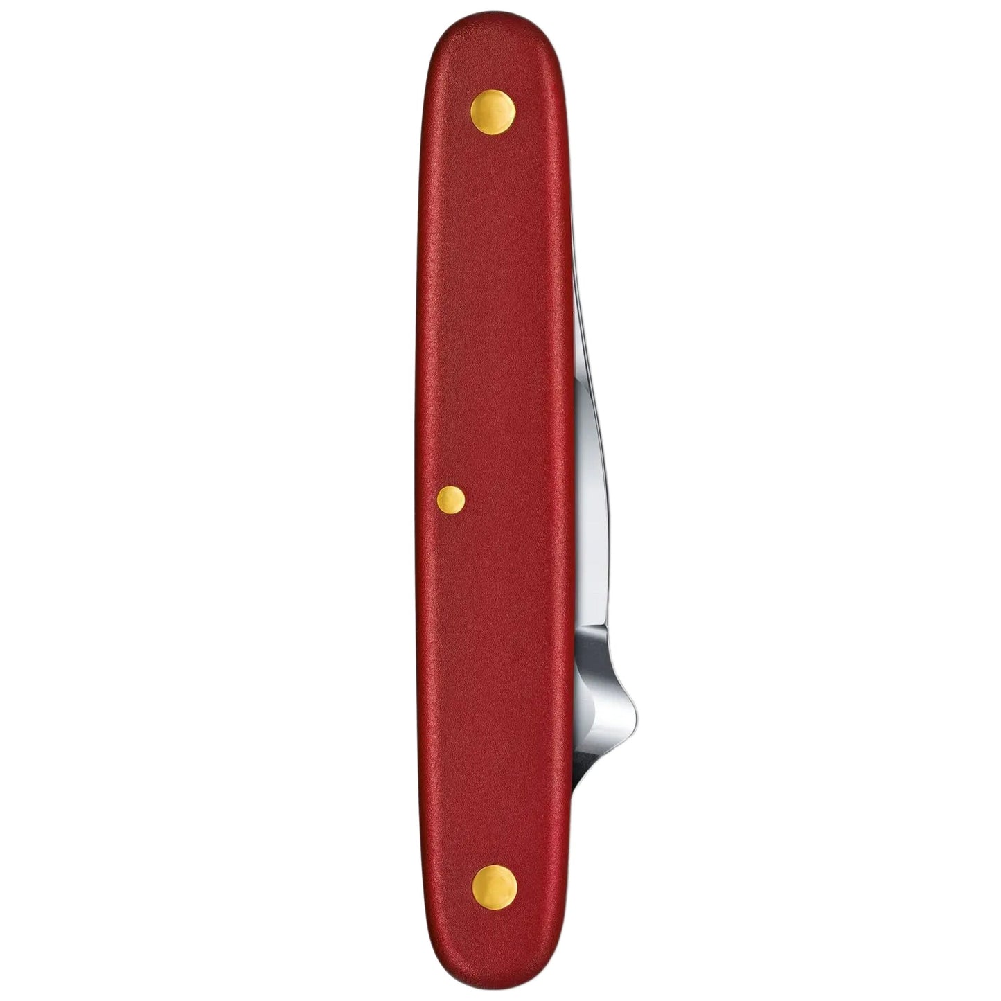 Scyzoryk ogrodniczy Victorinox Budding Knive Combi S