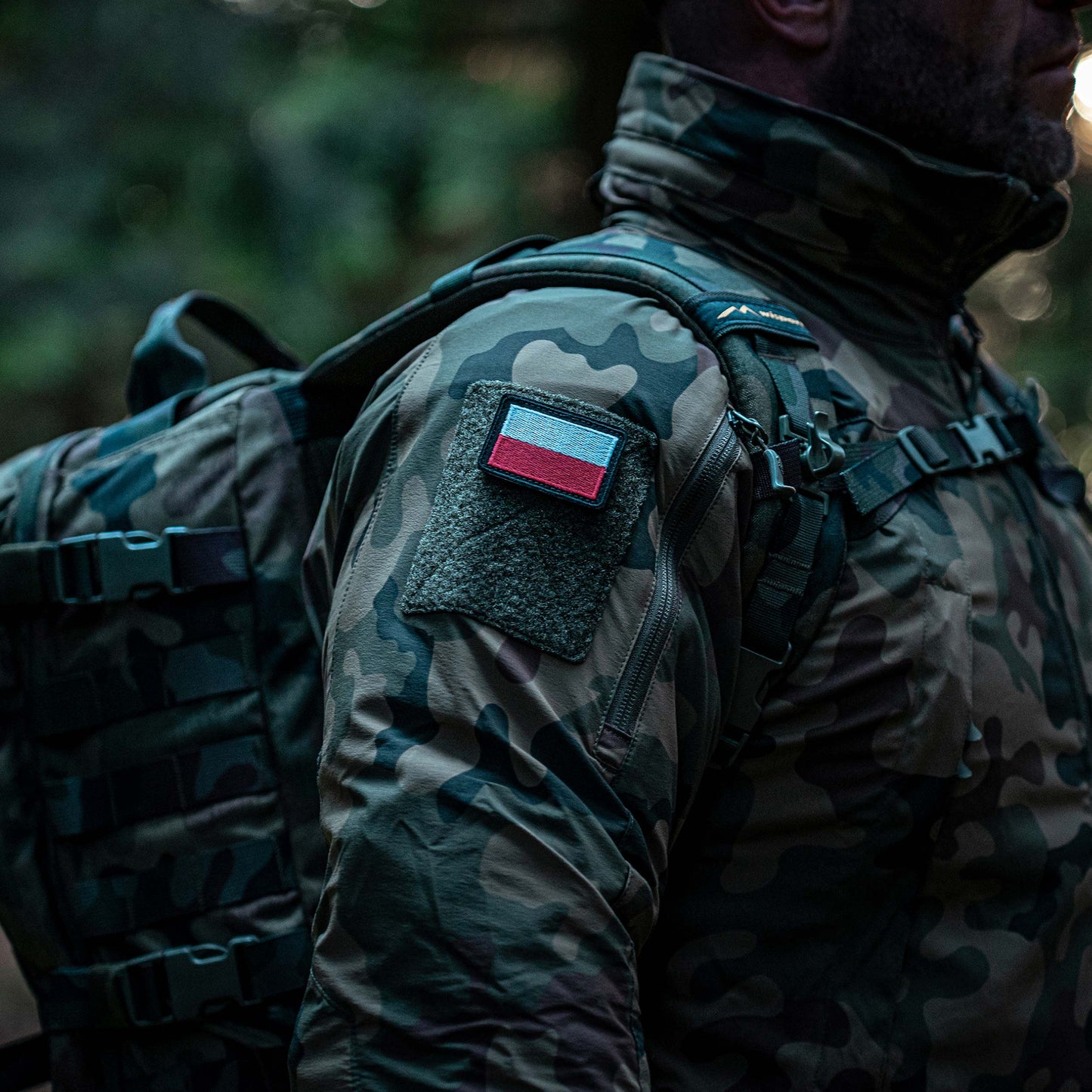 Emblemat Haasta flaga Polski