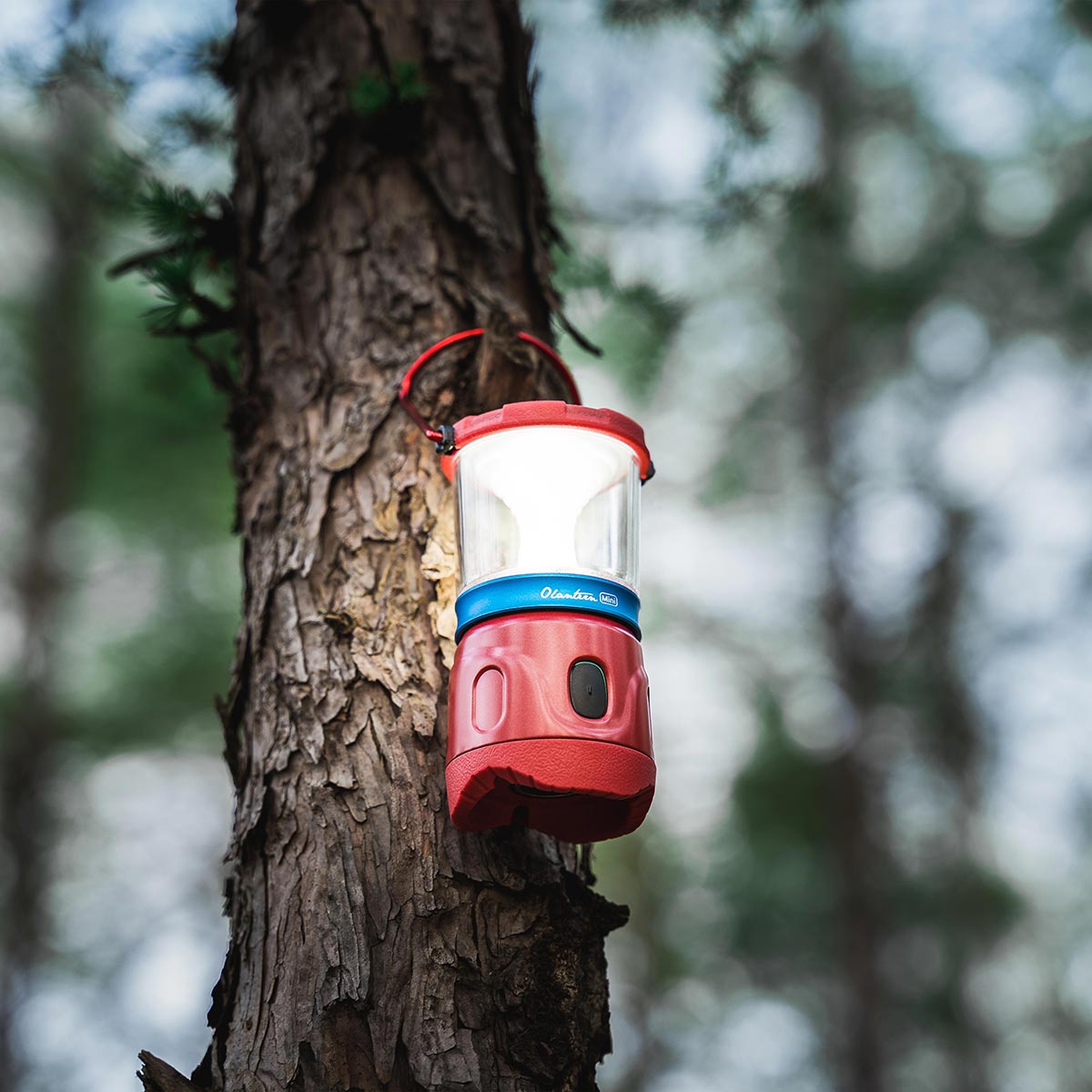 Lampa Olight Olantern Mini Wine Red - 150 lumenów