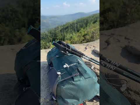 Kije trekkingowe Nils Camp z włókna węglowego TK8607