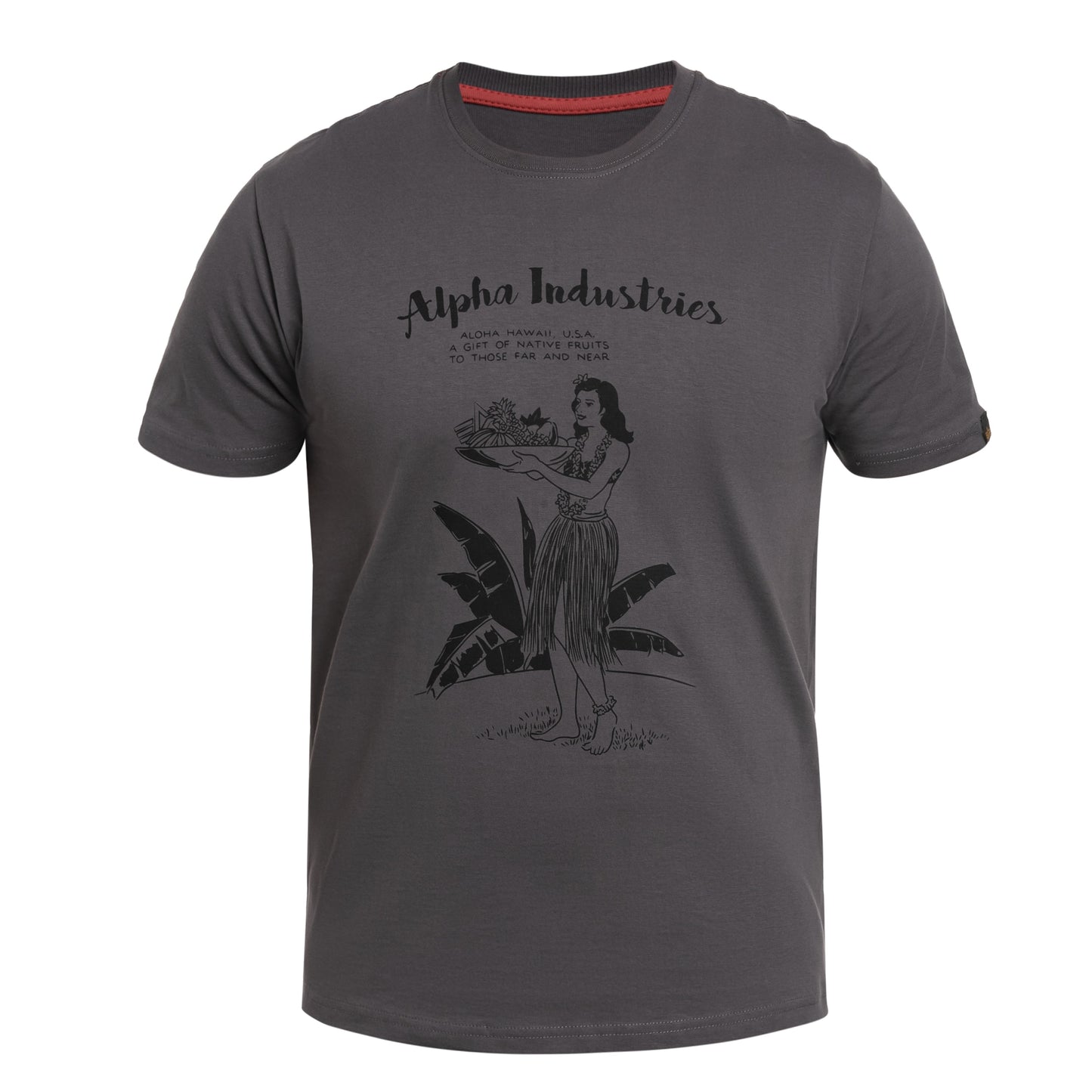 Koszulka T-shirt Alpha Industries Hawaii - Vintage Grey