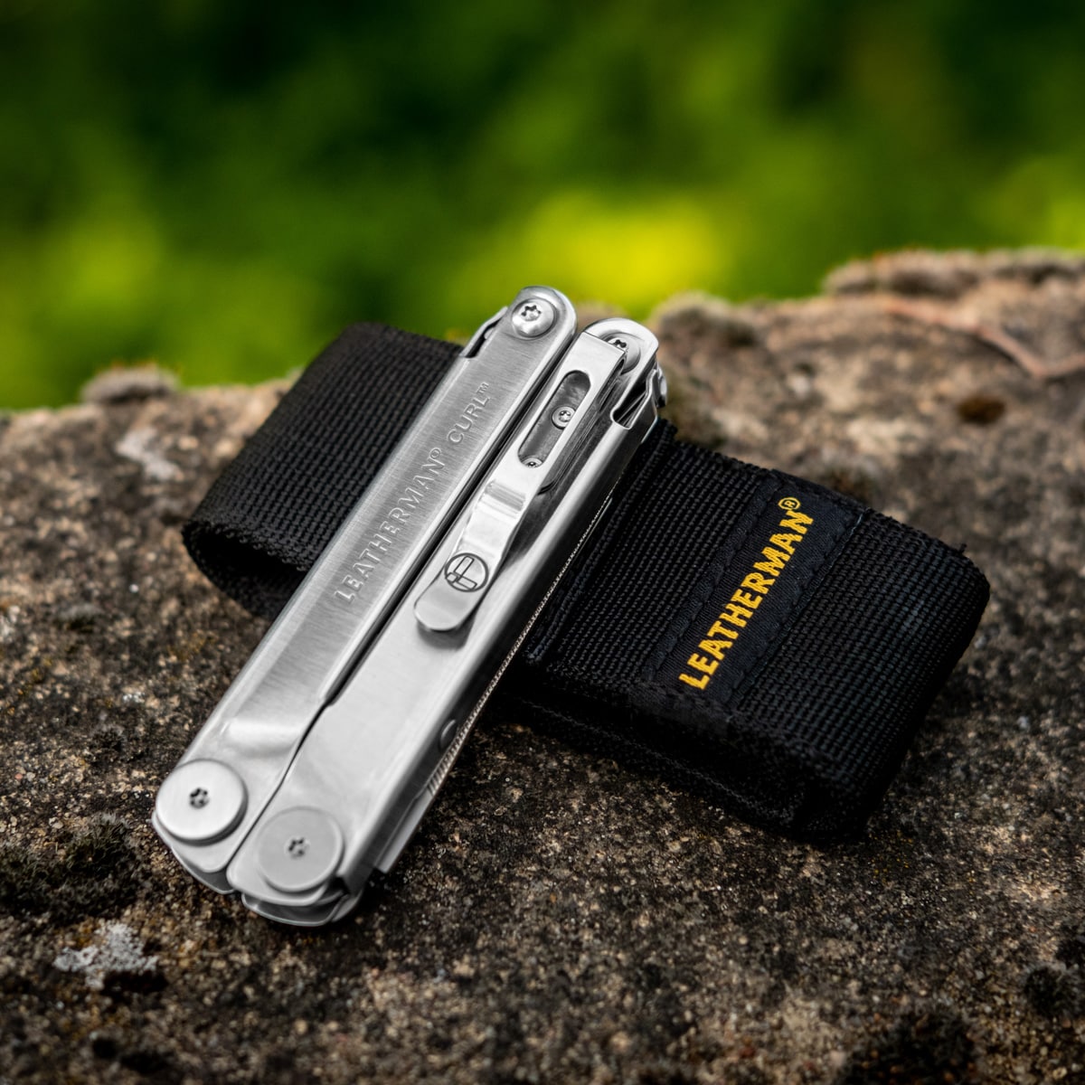 Multitool Leatherman Curl z kaburą
