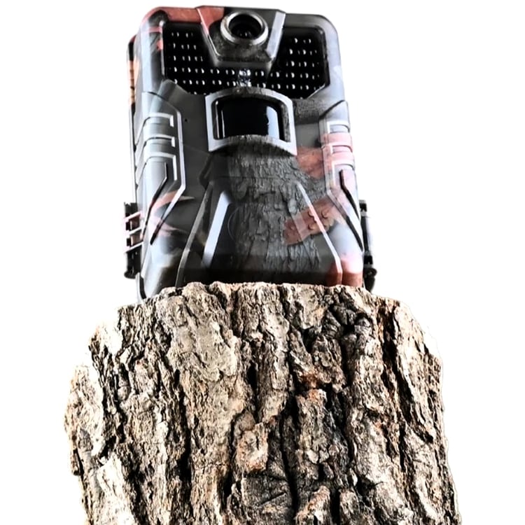 Fotopułapka TopHunt HC-900A 36MPX