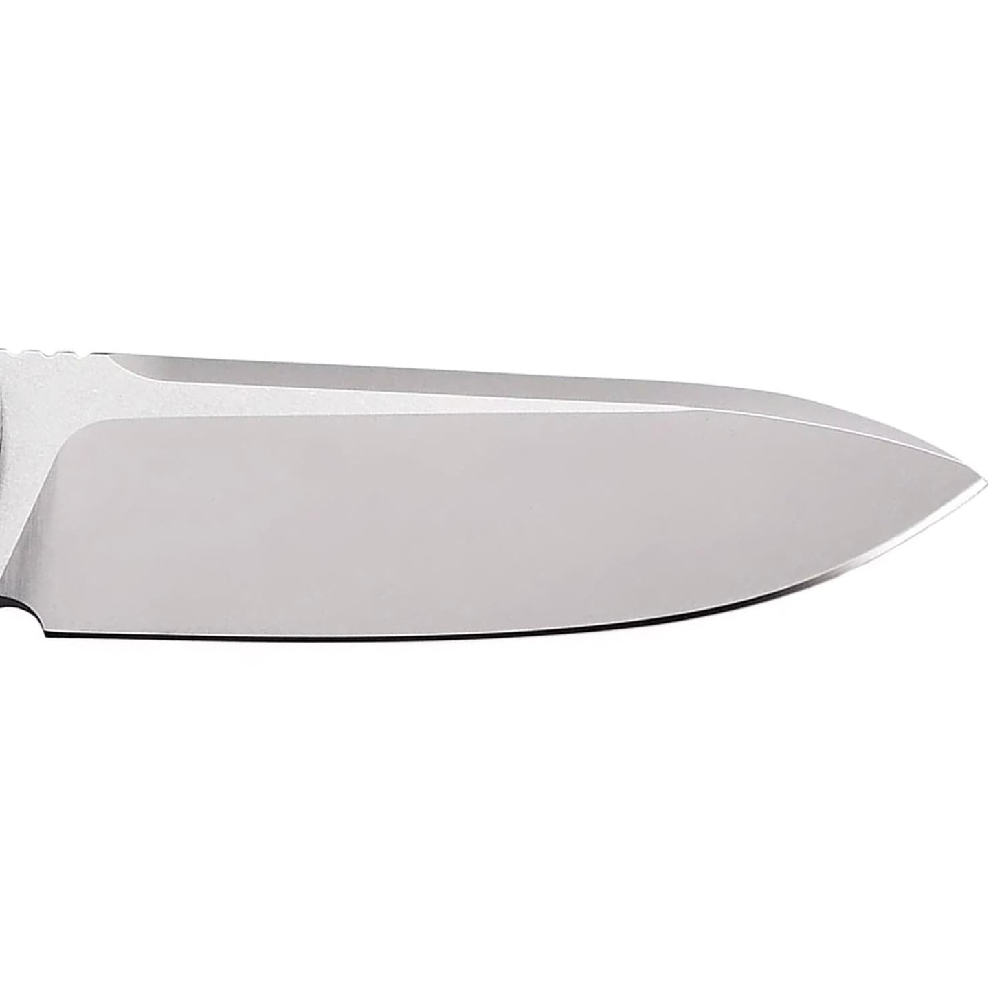 Nóż składany Bestech Knives Grampus - Beige