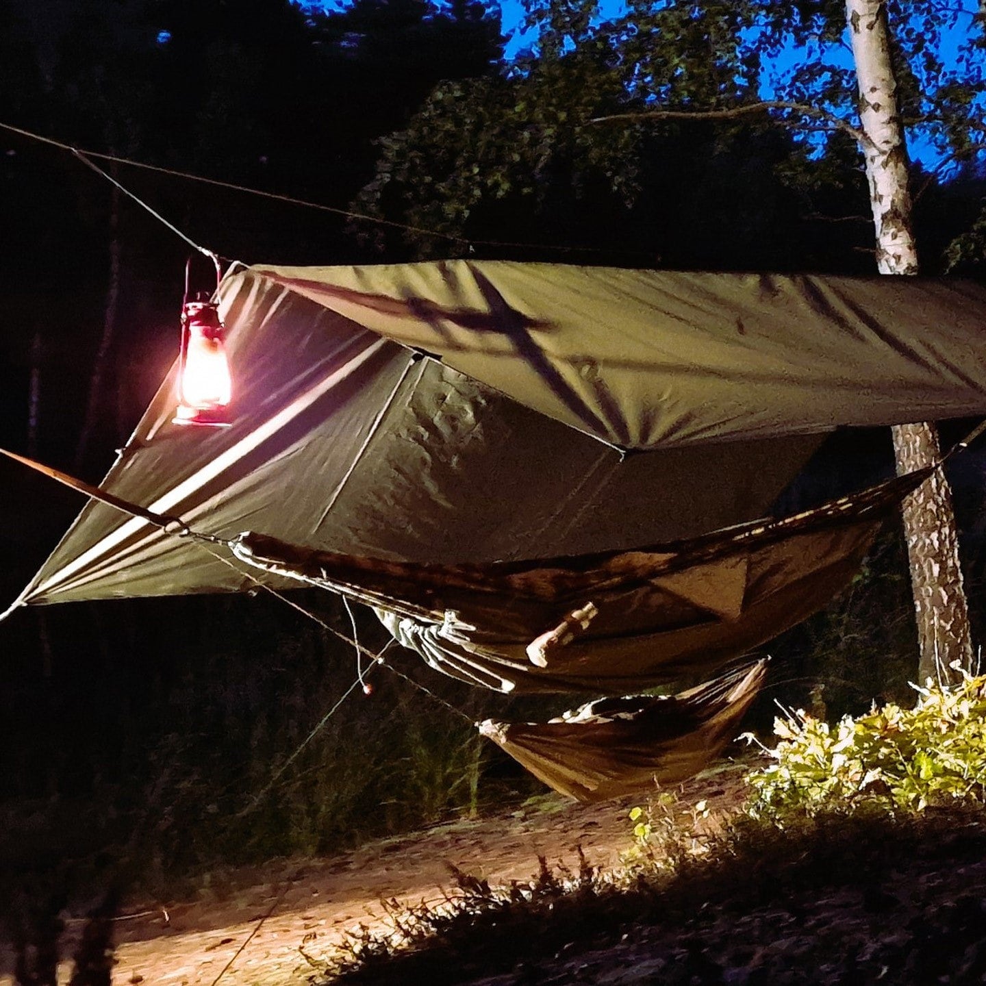 Płachta biwakowa Bushmen Easy Tarp 3 x 3 m - Green