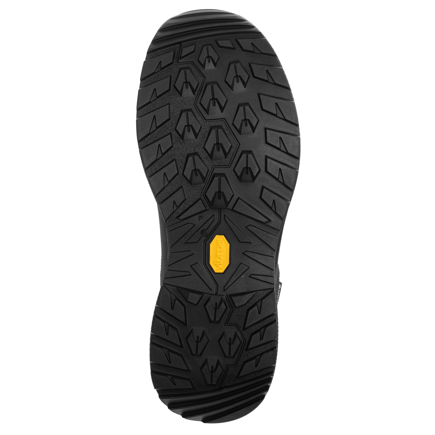 Buty Lowa Renegade EVO GTX LOW - Black
