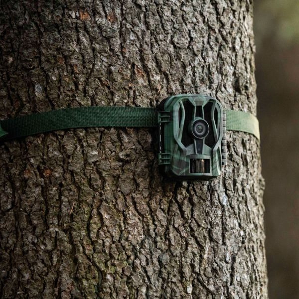 Fotopułapka Midland Wild Guardian - 20MPX
