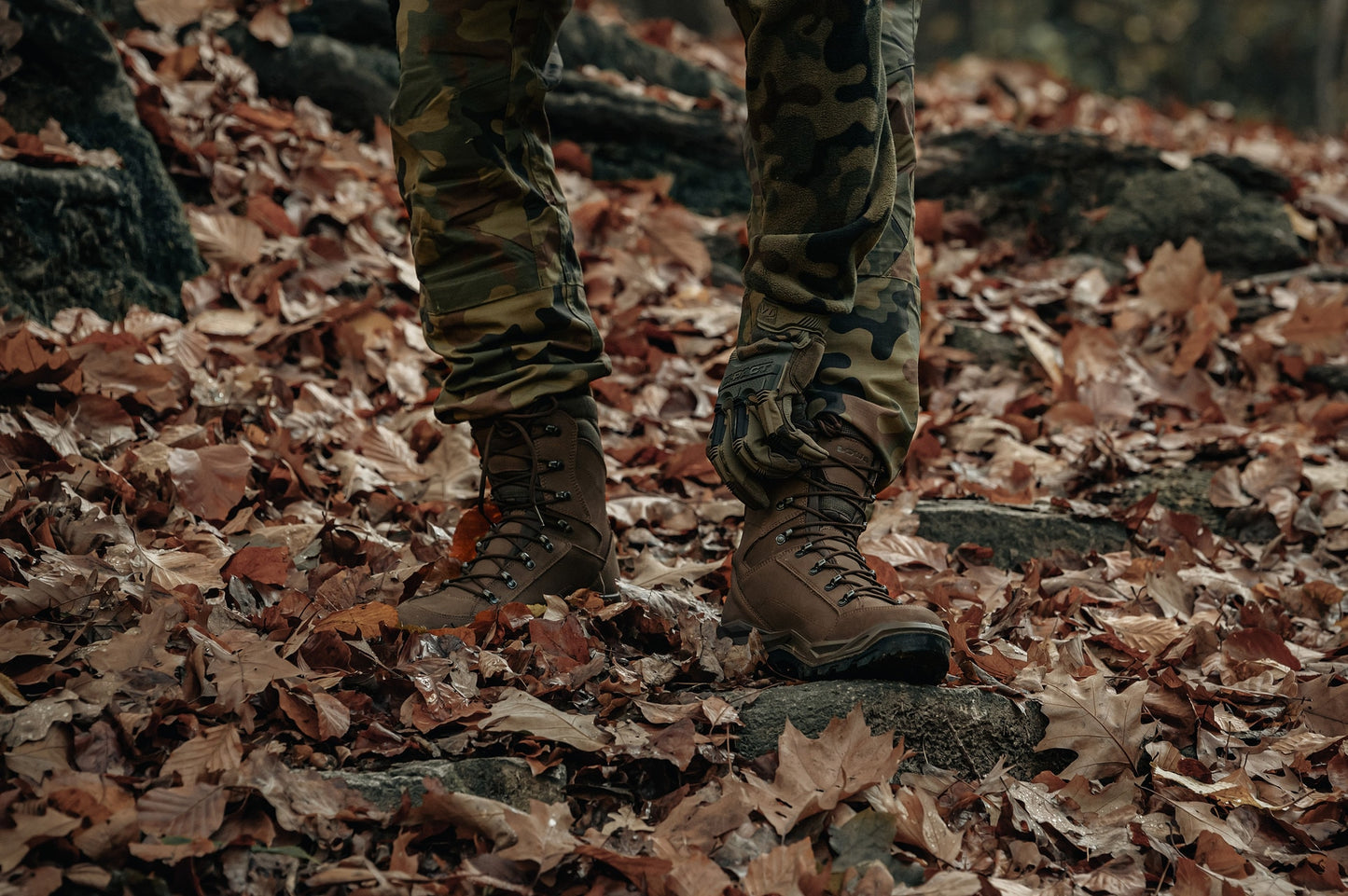 Buty Lowa Renegade II GTX HI TF - Dark Brown