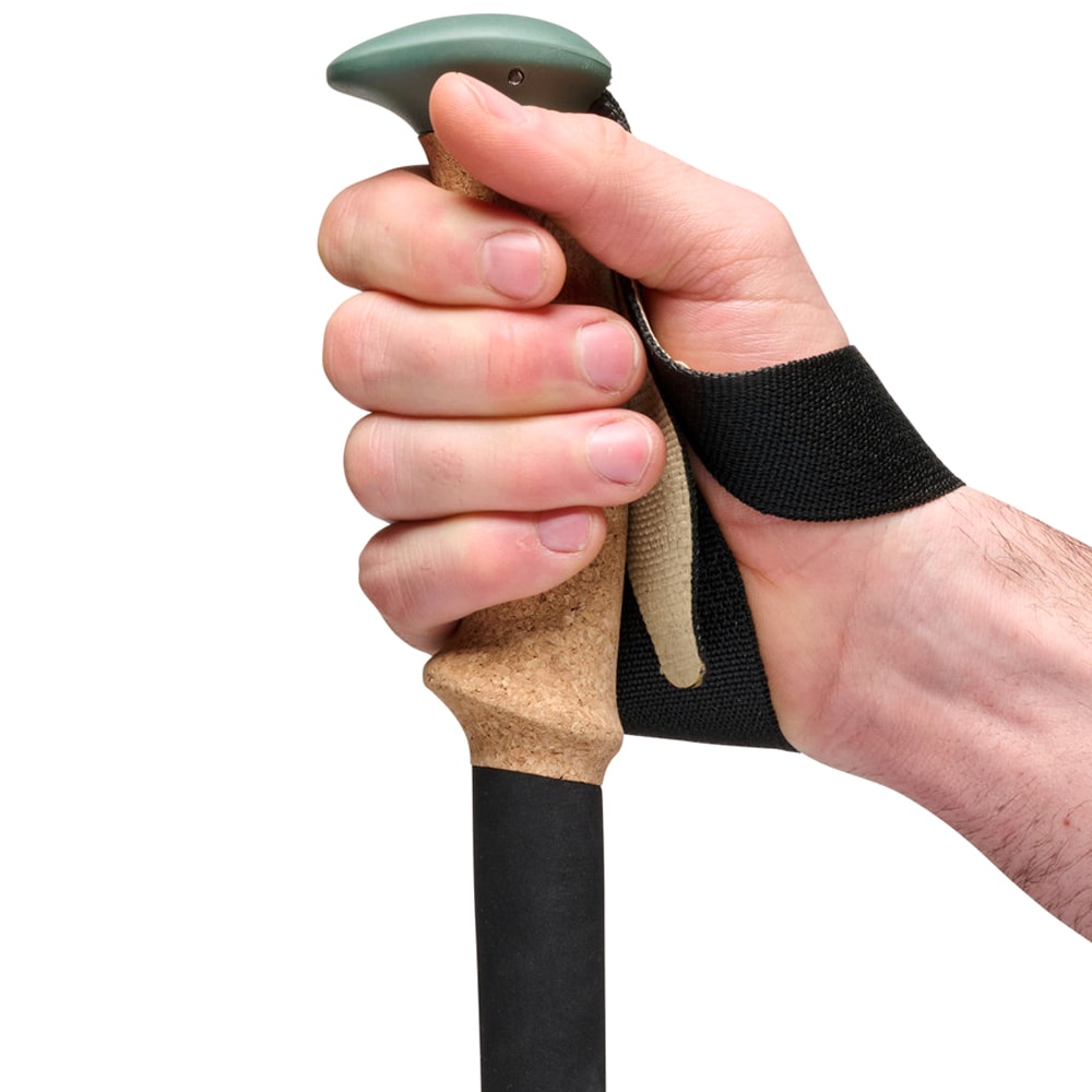 Kije trekkingowe Black Diamond Trail Cork Trekking Poles - Laurel Green
