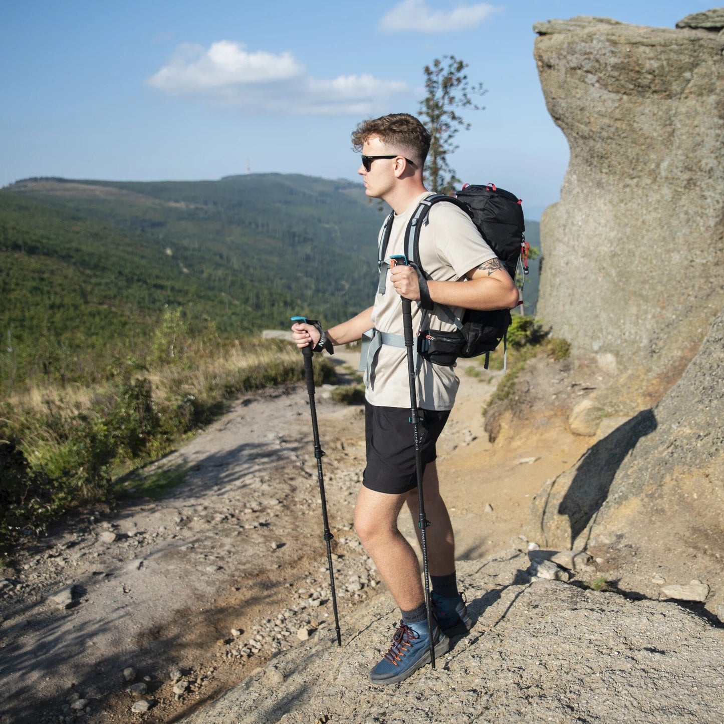 Kije trekkingowe Nils Camp z włókna węglowego TK8607