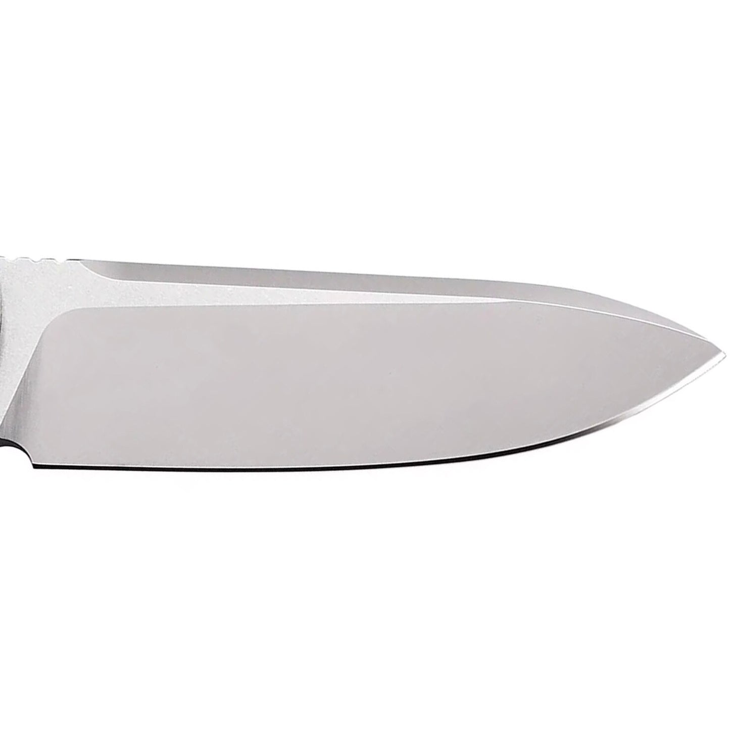 Nóż składany Bestech Knives Grampus - Green