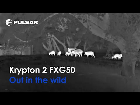 Nasadka termowizyjna Pulsar Krypton 2 FXG50