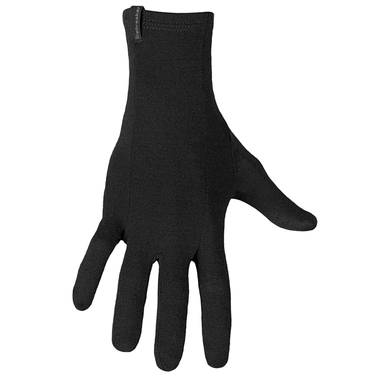 Rękawice Ice Breaker Oasis 200 Glove Liners - Black