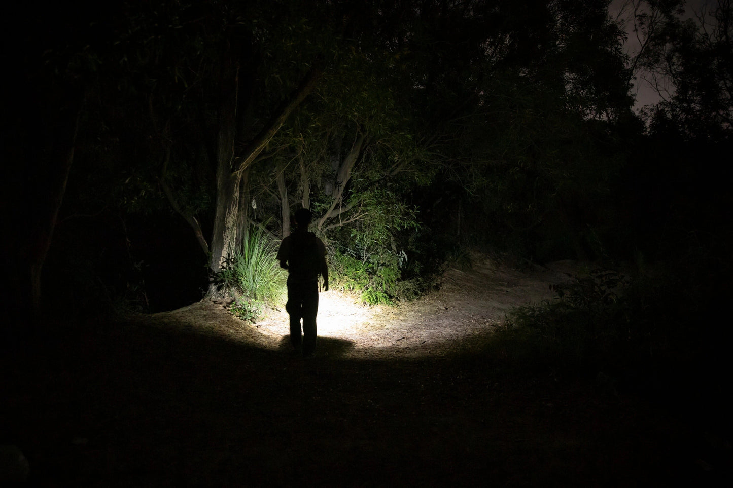 Latarka akumulatorowa Olight Baton 4 Blue Phantom - 1300 lumenów