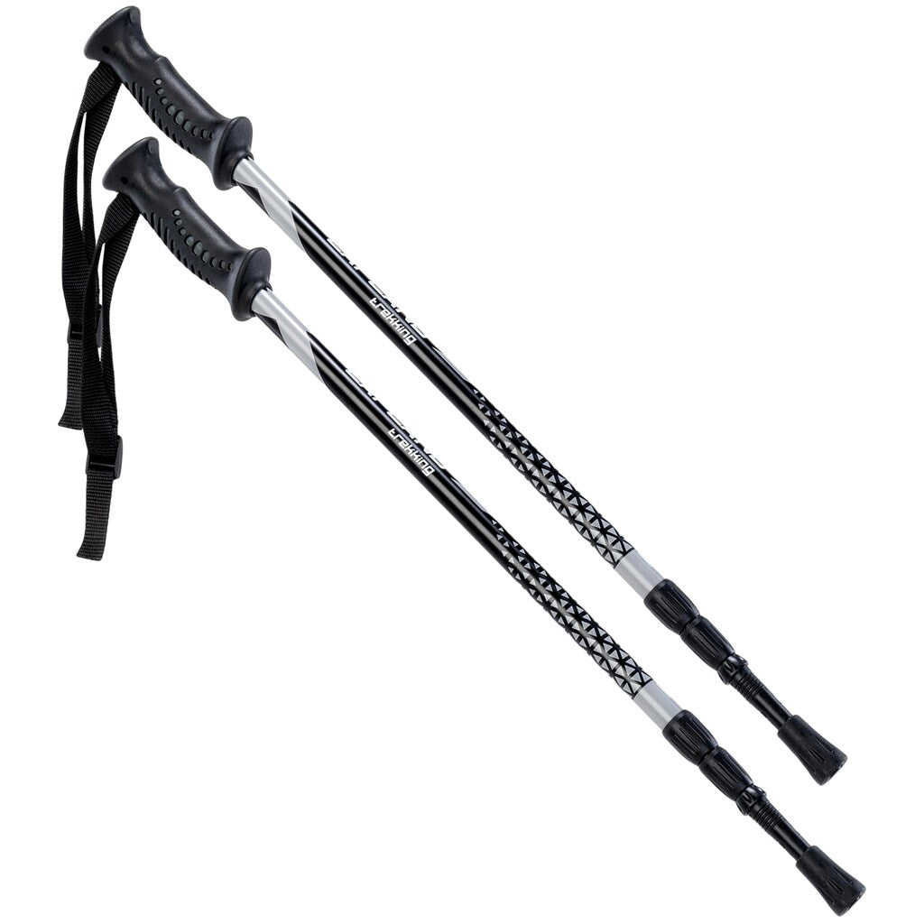 Kije trekkingowe Hi-Tec Lapland - Black/Grey