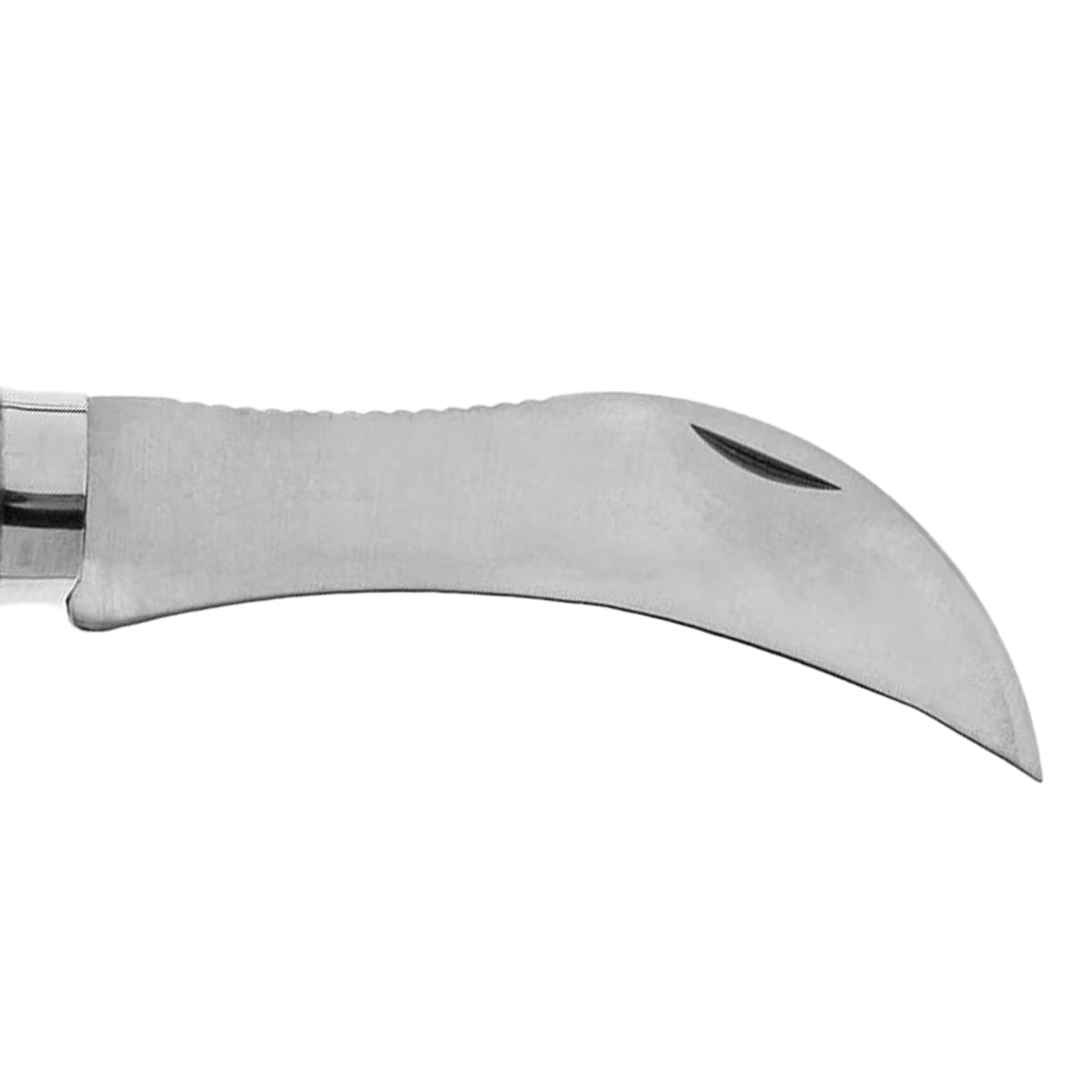 Nóż składany Opinel No.8 Mushroom do zbierania grzybów