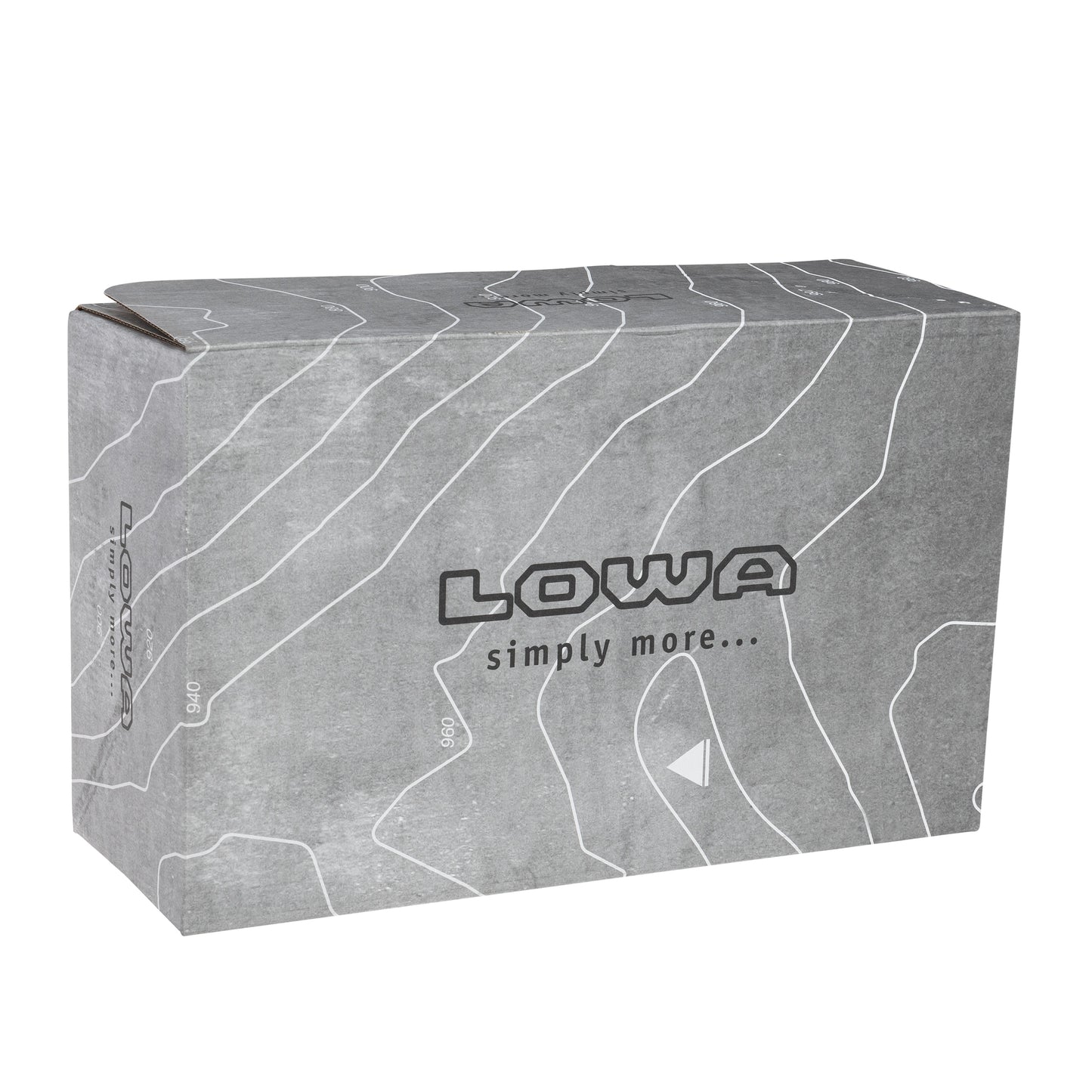 Buty Lowa Renegade EVO GTX LOW - Black