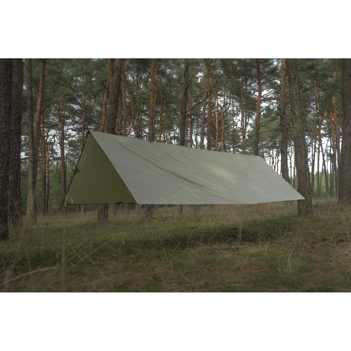 Płachta biwakowa TigerWood Termo Tarp 3 x 4 m - Olive