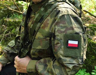 Emblemat "Flaga" wz.814/A/MON