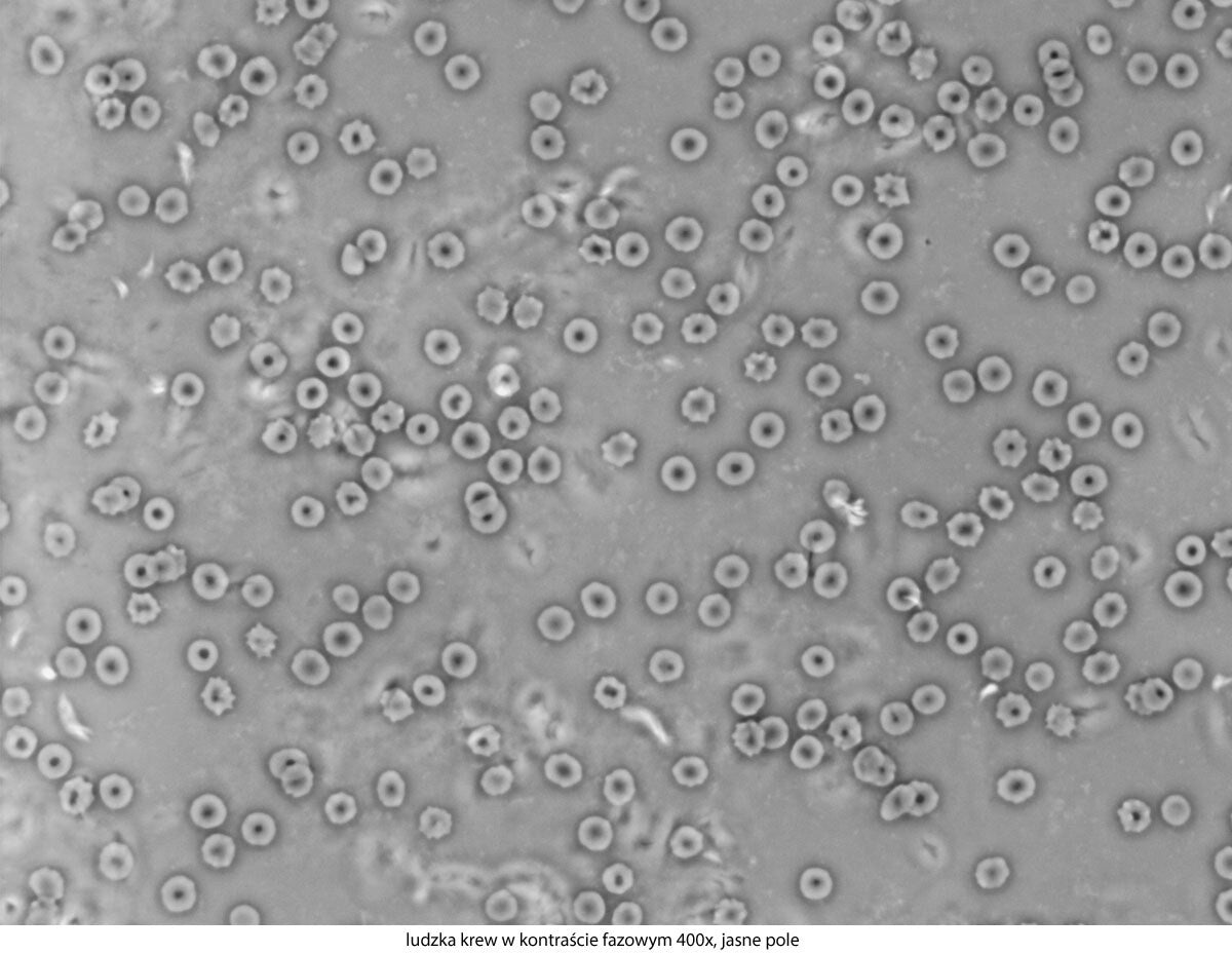 Mikroskop Delta Optical Genetic Pro Mono z akumulatorem