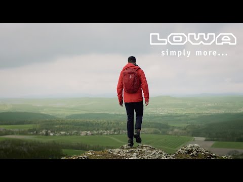 Buty Lowa Tibet EVO GTX - Navy/Graphite