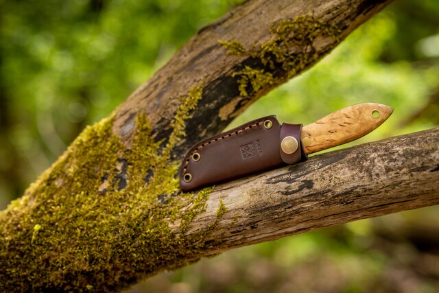 Nóż Joker Cuchillo Avispa Bushcraft