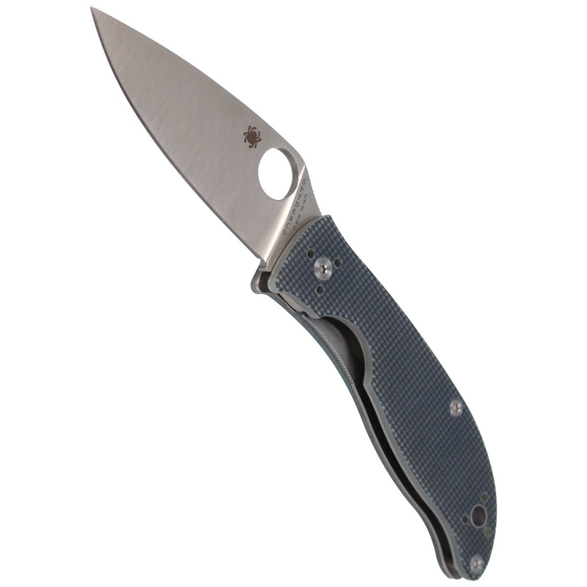 Nóż składany Spyderco Polestar G10 CTS BD1 - Grey