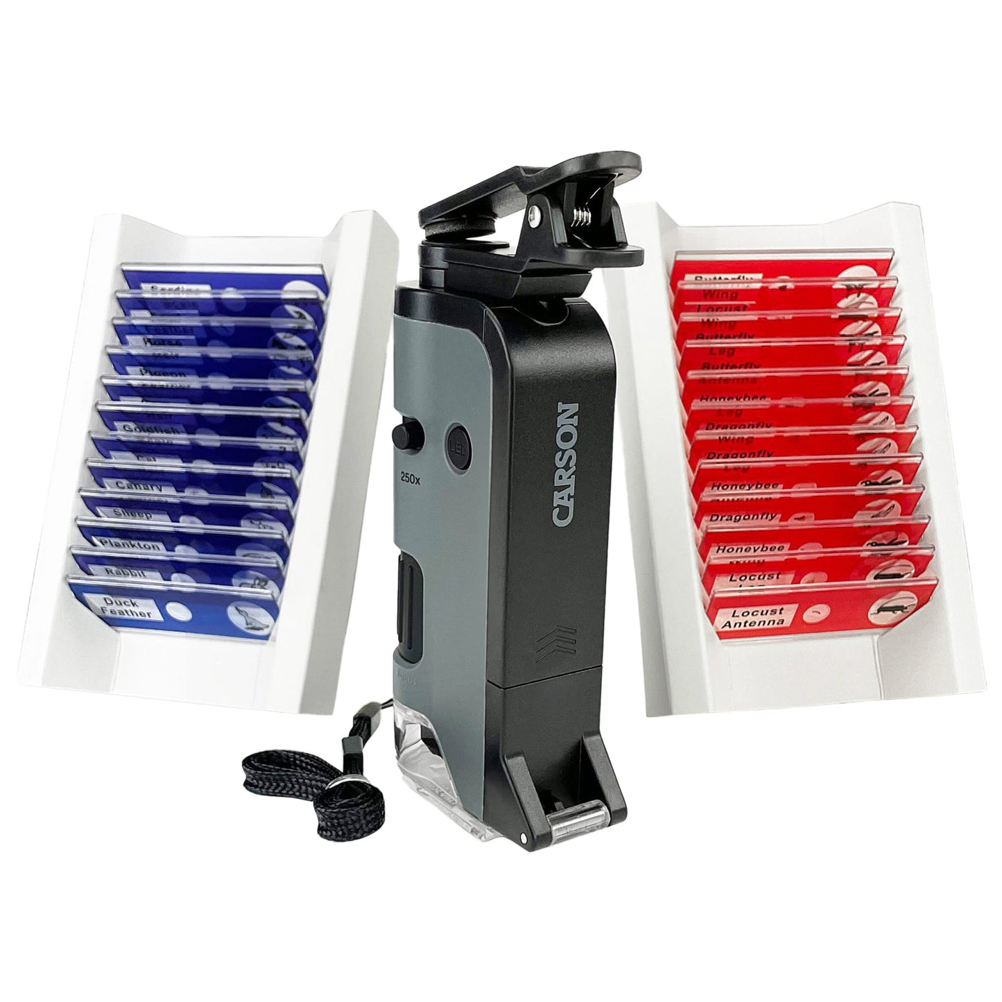 Mikroskop Carson Microflip LED 100-250x + 24 preparaty