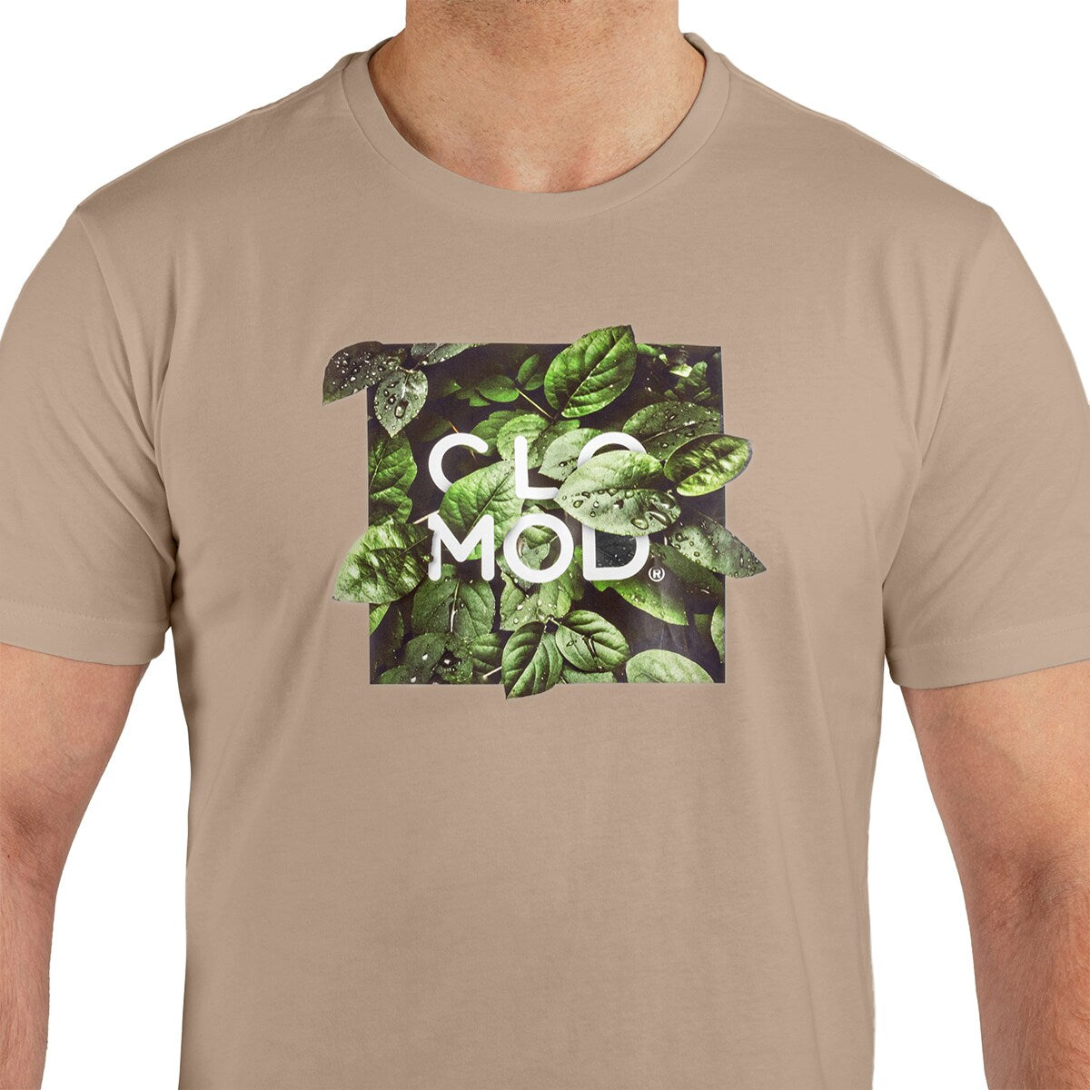 Koszulka T-shirt Pentagon CloMod Leaves - Coyote